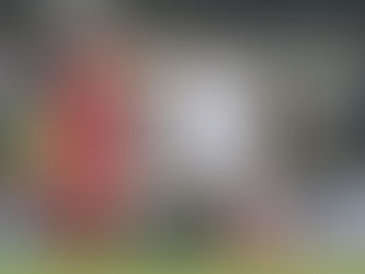 Areias a caminho da equipa B do FC Porto