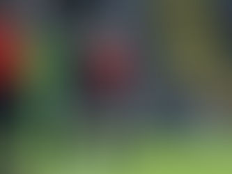 "Era melhor que tivesse os dois olhos no jogo"
