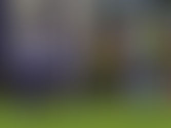 FC Porto em negociações por direitos televisivos