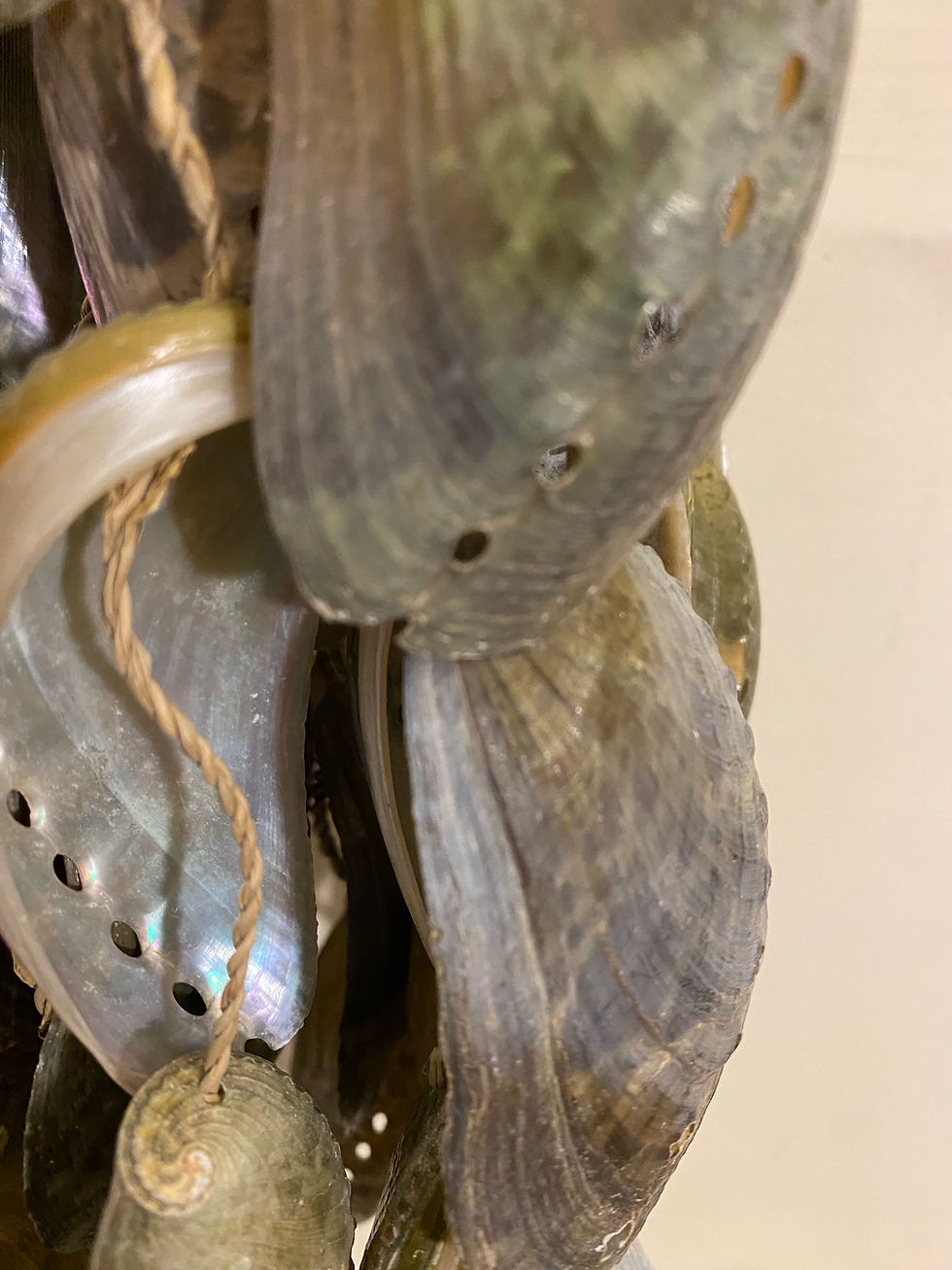 Thumbnail: MATA TUJUH SHELL RATTLE