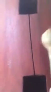 Thumbnail: EKWE