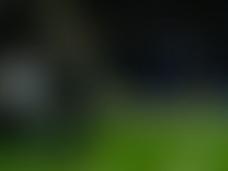 United no Dragão com dois alvos