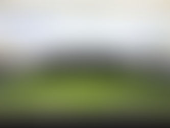 SAD do FC Porto obrigada a vender ativos
