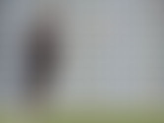 Sérgio Oliveira a perder espaço no FC Porto de Nuno Espírito Santo