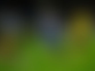 FC Porto estuda forma de pagar Layún
