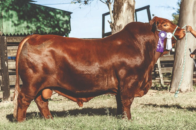 WhatsApp Image 2025-06-25 at 4.29.57 PM.jpeg