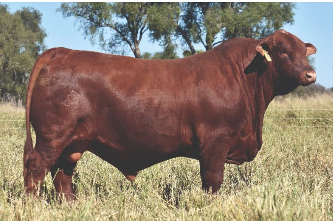 WhatsApp Image 2025-06-25 at 4.35.41 PM (1).jpeg