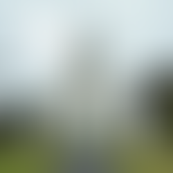 Engage with Papakura Wesleyan Church Activities