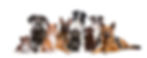 iStock-857174584.jpg
