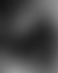 Wareham's 508TJB is aiming for the Sky.