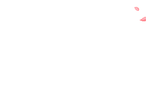 2r5w.gif