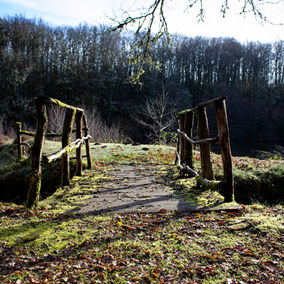 Petit pont de pierre ancien traversant un ruisseau dans une forêt de Corrèze entouré de mousse verte et d'arbres