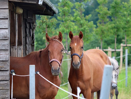 Verplichte premieafdracht aan Arbeidsmarktfonds Colland