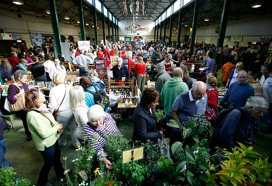 Brecon Beacons Food Festival