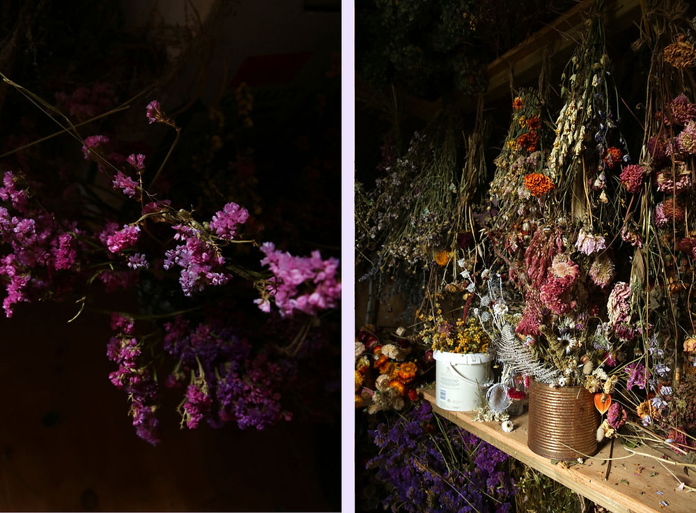 Dried flower artist Layla Robinson's dried flower cupboard (c) Susan Kinsey-Jones, Whinyard Rocks