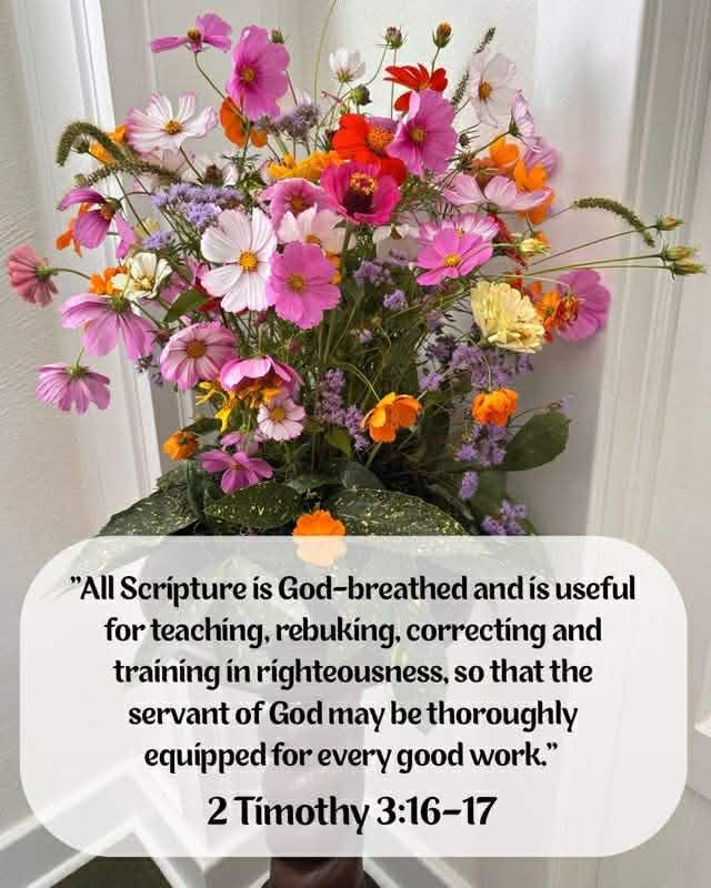 A Sunday That Felt Like a Calling