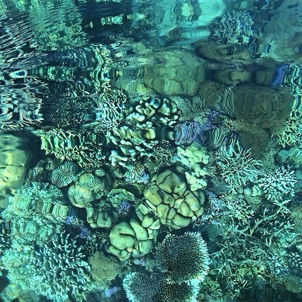 Pristine Water