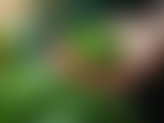 Holistic Healing and Its Benefits: Embracing Natural Healing