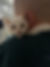 for the website kitty.jpg