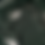 Thumbnail: JAAN COLLECTION  - RESTOCKED