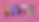 Bold Sale Brand Website Homepage Banner (2).png