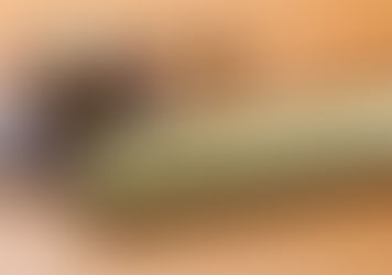 IBBI amends the law regarding voting on Compliant Resolution Plan