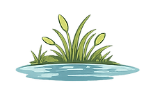 Private Ponds_no copy.png