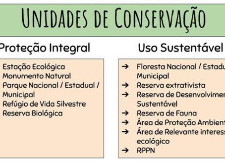 Unidades de Conservação Ambiental: O que são e qual a importância para a preservação ambiental?