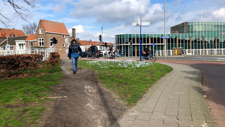 Sometimes a Desire Line Is Just a… Desire Line