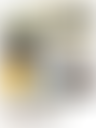 Le Citoyenneté Digital