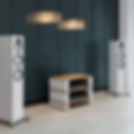Untitled design (1).png