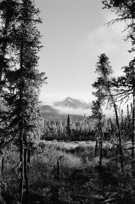 Alaska BW Scans (10 of 24).jpg