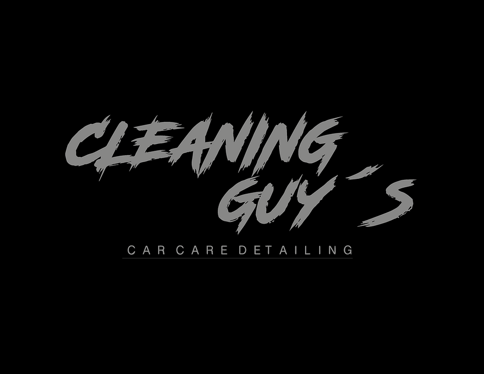 Cleaning Guys Negro