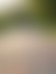 Block Paving Maintenance: Keeping Your Driveway Pristine