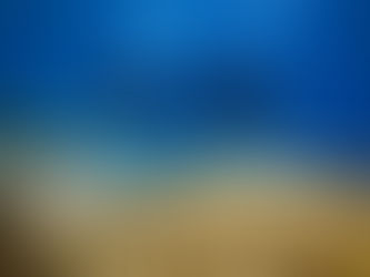 BSc in Marine Biology 
