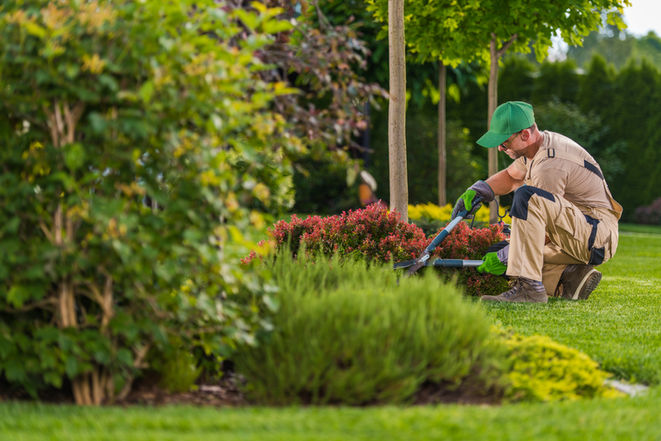 Professionally landscaped front yard with planting beds, shrubs and trees in Dallas, TX