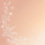 elegant pale background.jpg