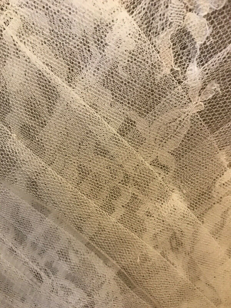 Thumbnail: Watters Wtoo HIGGINS Size 10/12 Ivory/Nude NEW!!