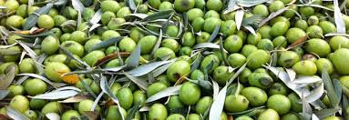 1 Litre d'huile d'olive de qualité supérieure extra vierge.