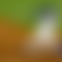 Back in the Spring Swing of Things — Dodgers Begin the Chase for Three