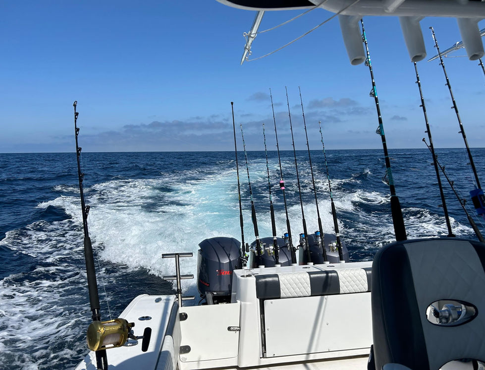 Orange Beach wake
Overnight
Tuna Orange Beach Fishing Fish Charter 12hr 24hr