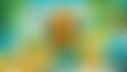 창작의 흐름에 몰두한 디자이너