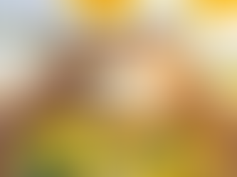 The noblest virtue is kindness, but the world has made it a weakness. How wrong he is... No offense to many...!!!