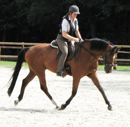 Einer der wenigen Tage, an dem Reiten ging. Am nächsten Tag hatte ich das nächste Schleudertrauma!