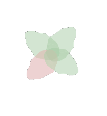 Logo-animat-sense.gif