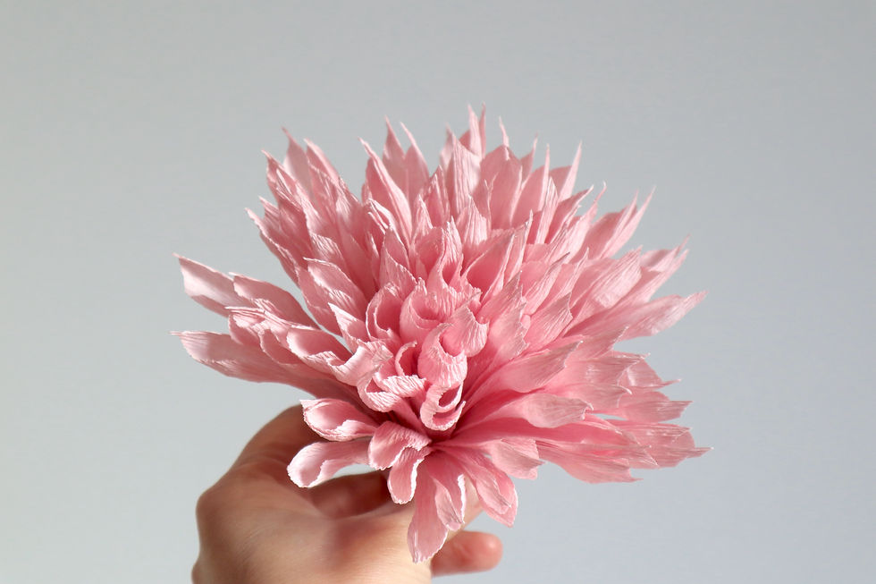 Miniatura: Dalia
