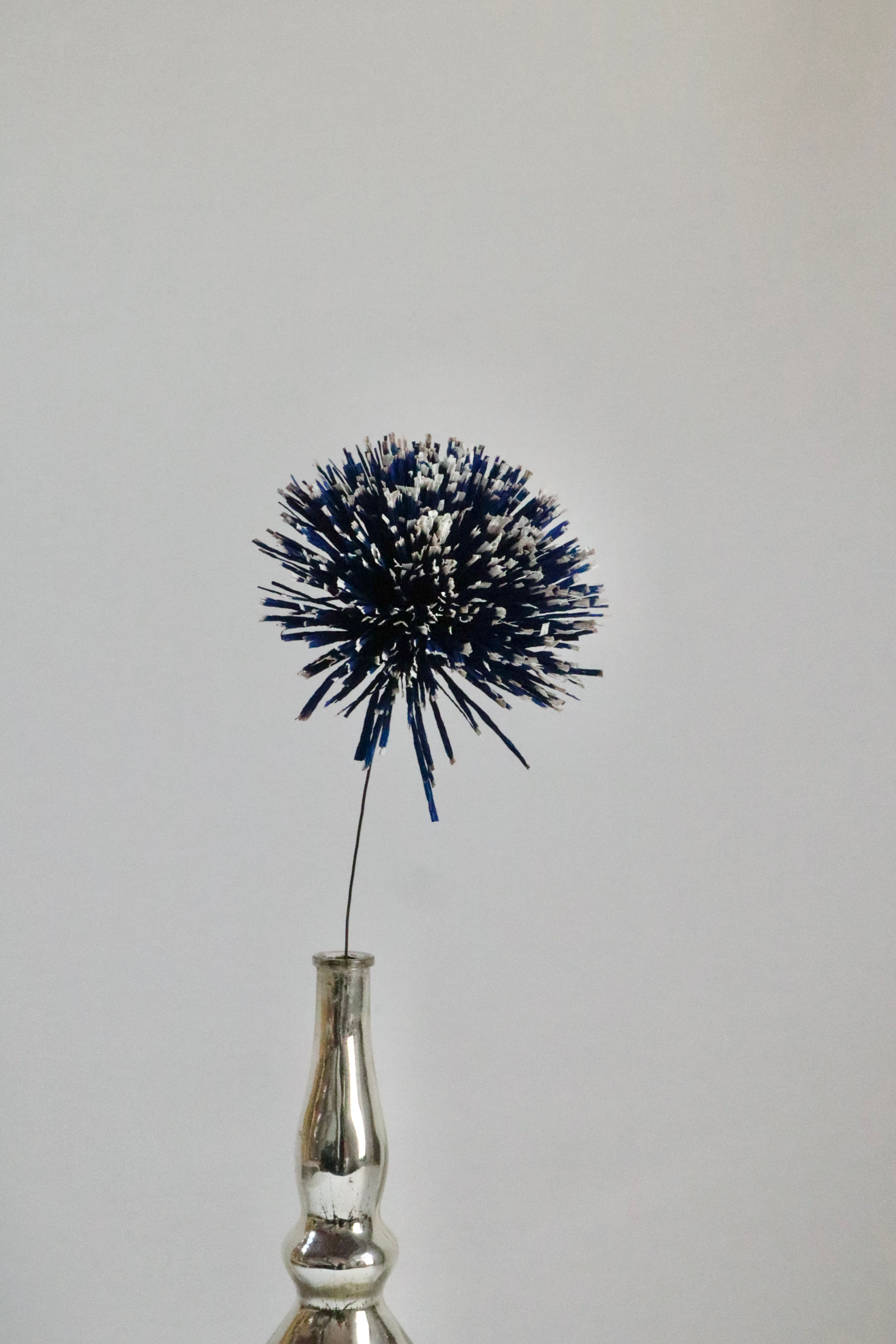 Pom Pom macchiato