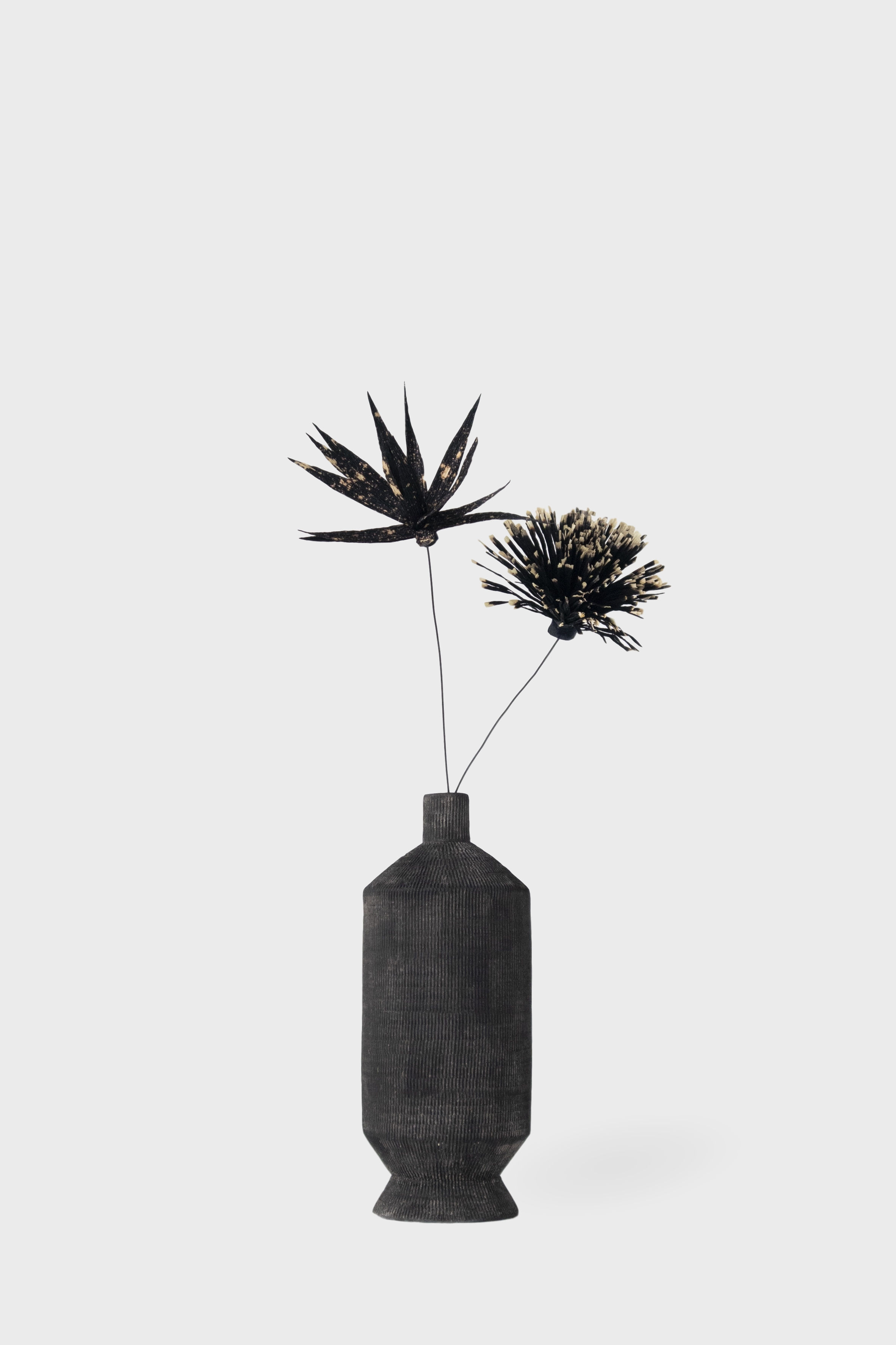 Better Together Carbon edition - Botti composition