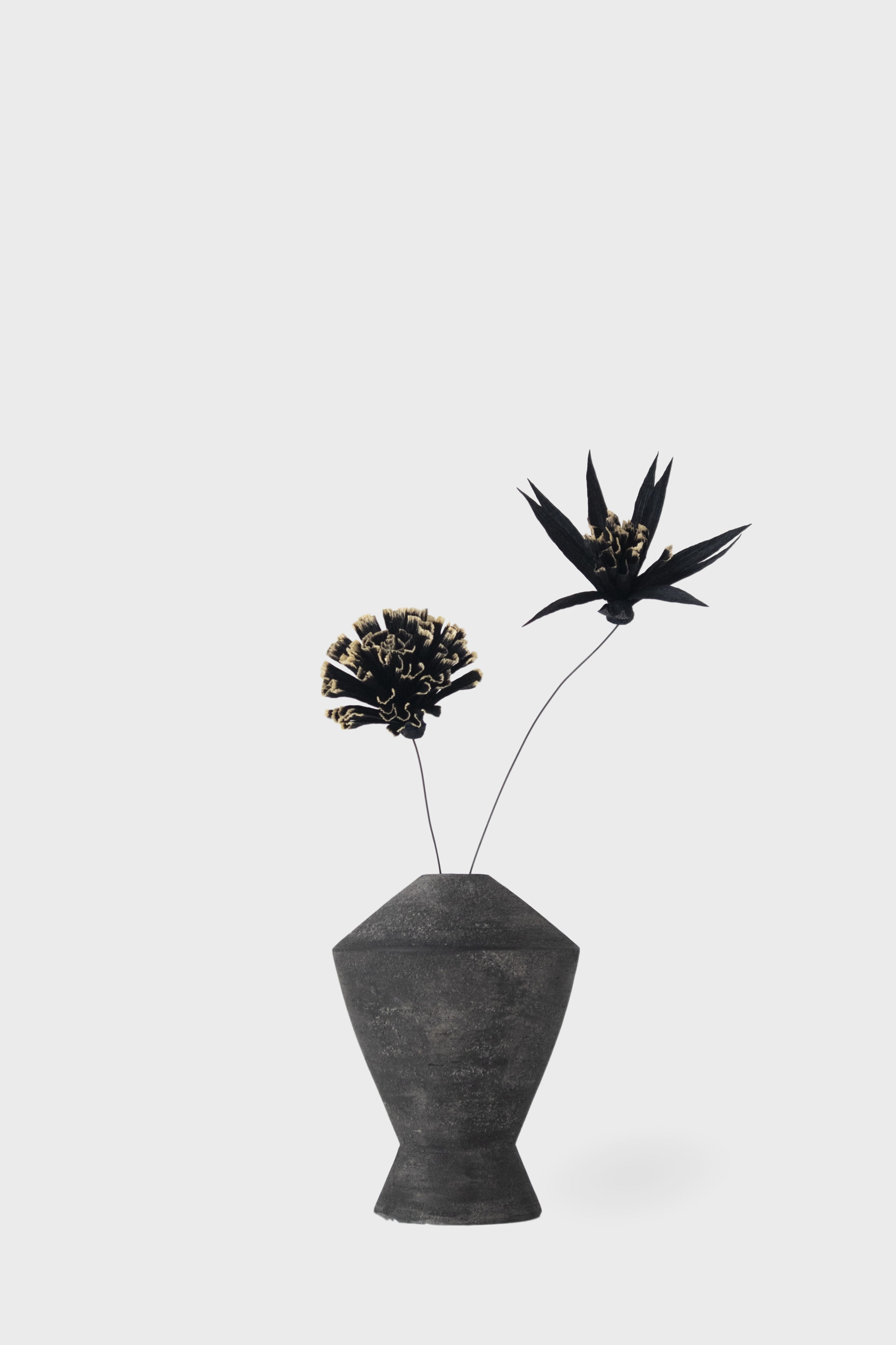 Better Together Carbon edition - Zeno composition