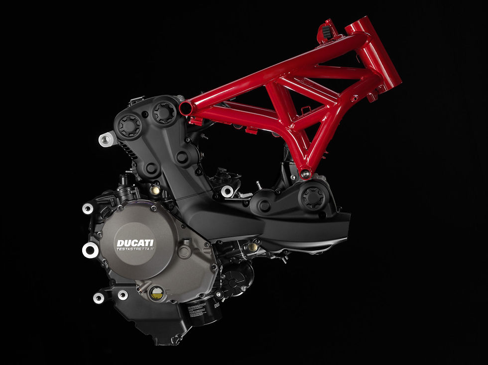 MONSTER1200_Engine_Frame.jpg